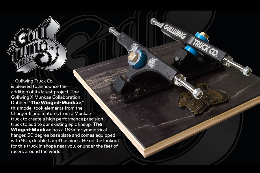 gullwingmunkae infograph