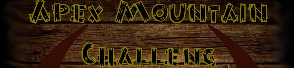 Website Blog Banner Template