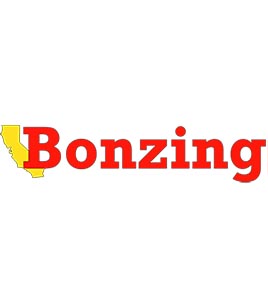 Bonzing