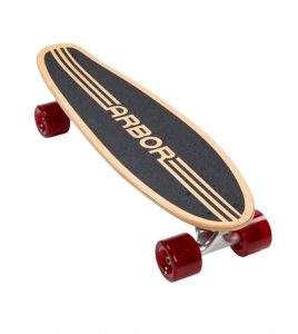 arbor-skateboards-bogart-micron-complete-cruiser-angle